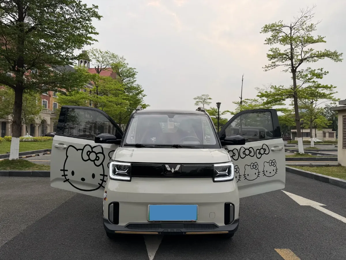 2022 WuLing HongGuang MINI EV BEV 17.3KWH,autocango,china used car exporter,china ev exporter,chinese used car exporter,chinese used ev exporter