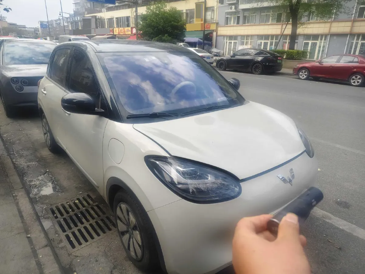 2023 WuLing BinGuo BEV 31.9KWH,autocango,china used car exporter,china ev exporter,chinese used car exporter,chinese used ev exporter