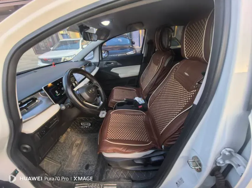 2024 Geometry E BEV 29.67KWH,autocango,china used car exporter,china ev exporter,chinese used car exporter,chinese used ev exporter