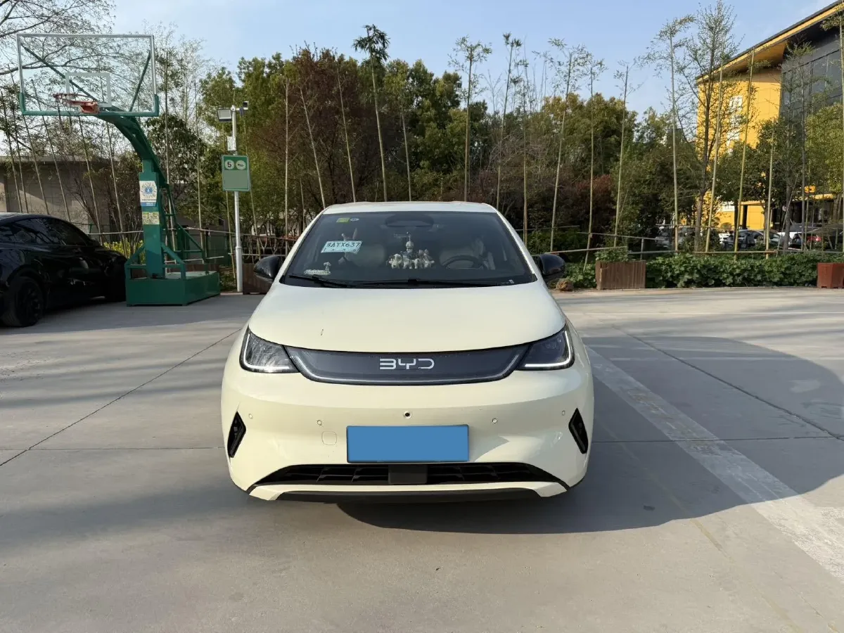 2025 BYD Dolphin BEV 45.12KWH,autocango,china used car exporter,china ev exporter,chinese used car exporter,chinese used ev exporter