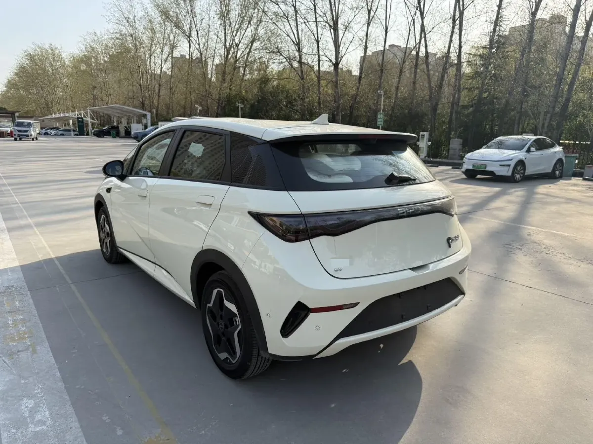 2025 BYD Dolphin BEV 45.12KWH,autocango,china used car exporter,china ev exporter,chinese used car exporter,chinese used ev exporter