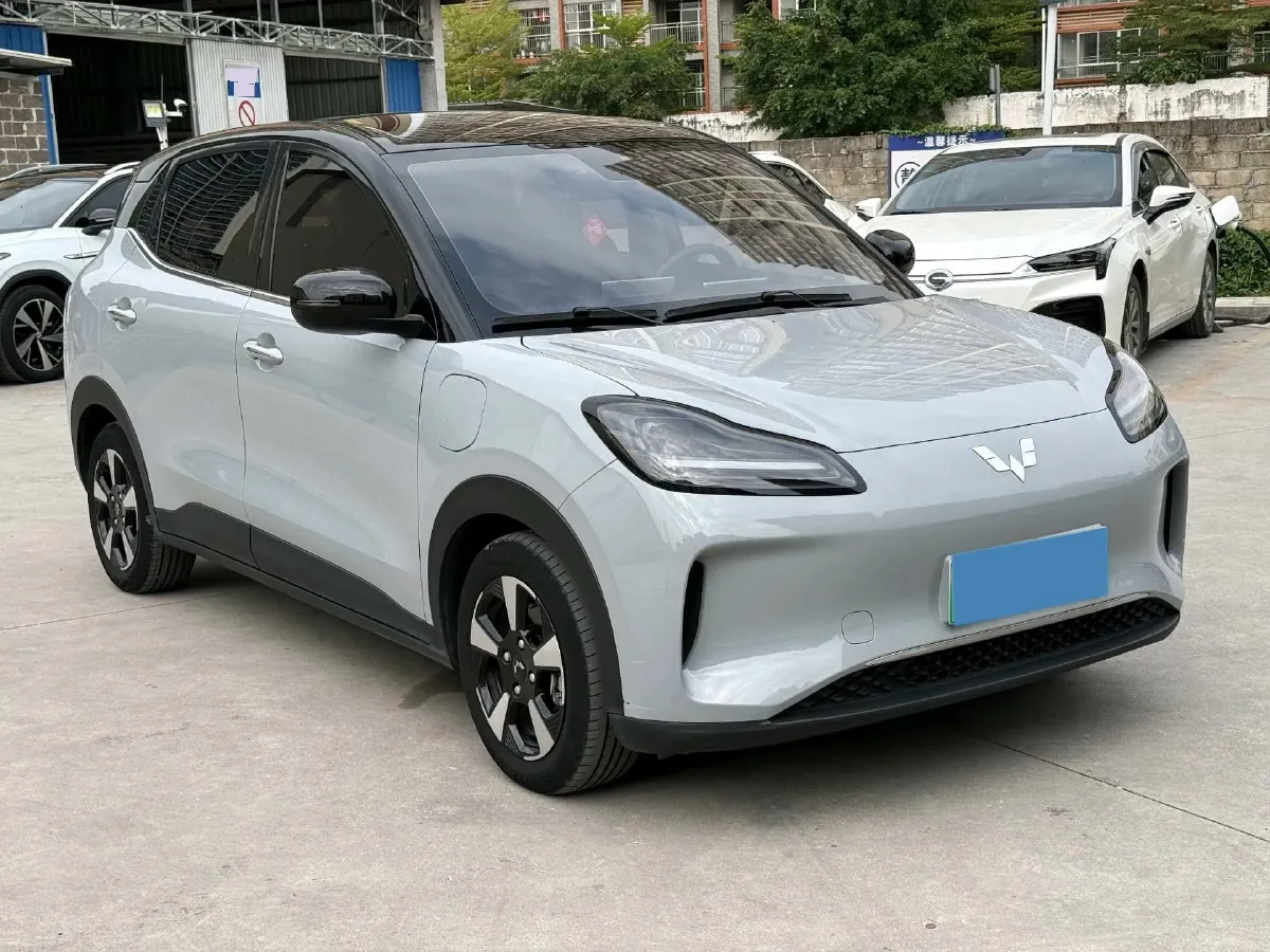 2024 WuLing BinGuoPLUS BEV 50.6KWH,autocango,china used car exporter,china ev exporter,chinese used car exporter,chinese used ev exporter