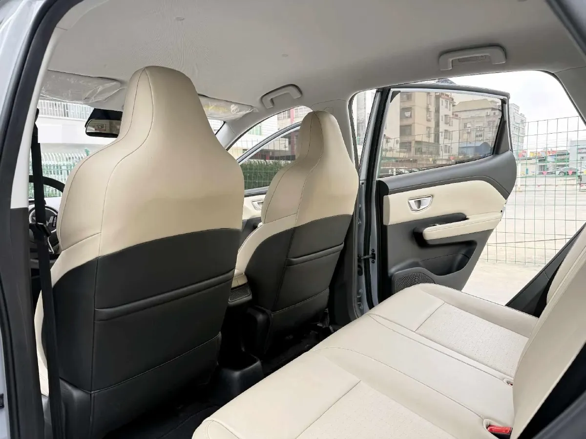 2024 WuLing BinGuoPLUS BEV 50.6KWH,autocango,china used car exporter,china ev exporter,chinese used car exporter,chinese used ev exporter