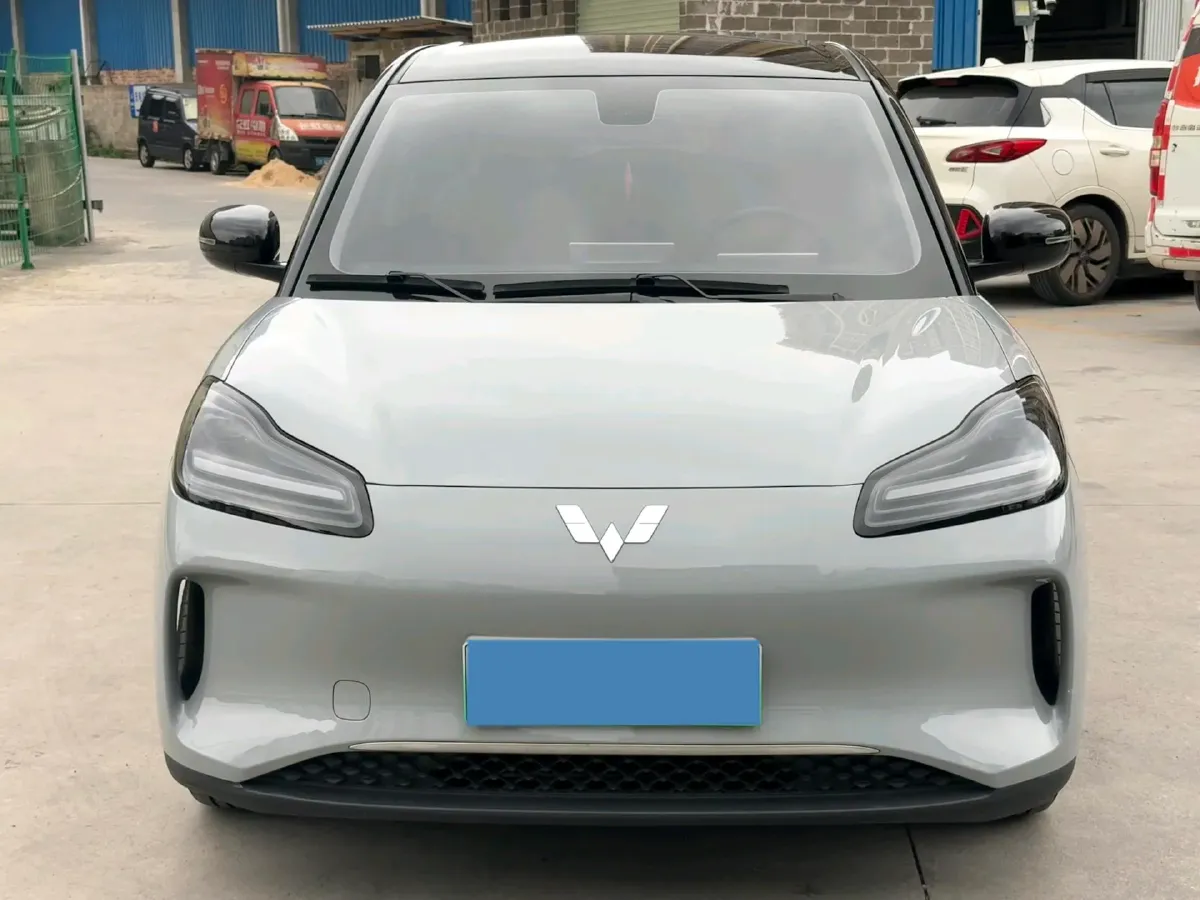 2024 WuLing BinGuoPLUS BEV 50.6KWH,autocango,china used car exporter,china ev exporter,chinese used car exporter,chinese used ev exporter