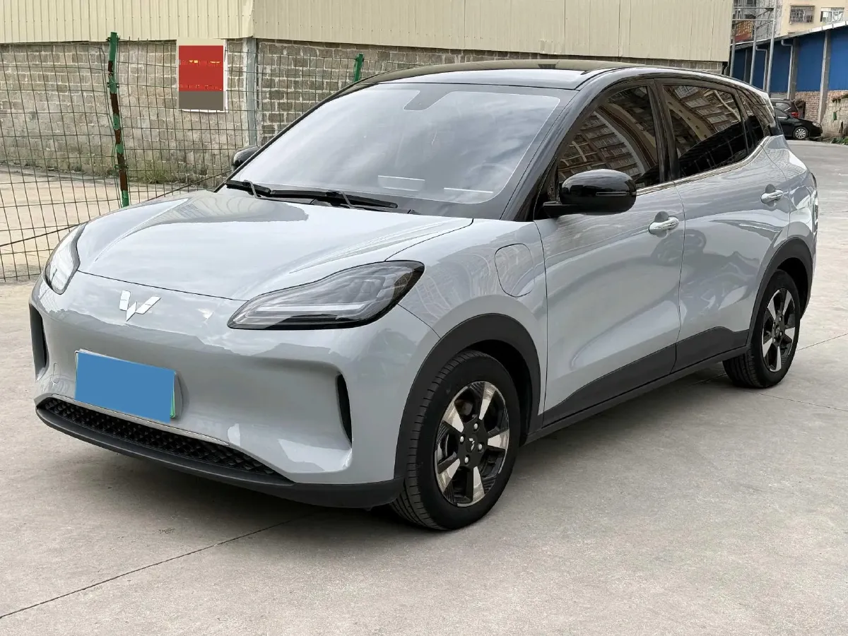 2024 WuLing BinGuoPLUS BEV 50.6KWH,autocango,china used car exporter,china ev exporter,chinese used car exporter,chinese used ev exporter