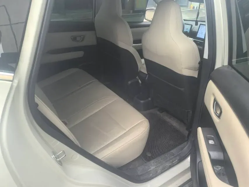 2024 WuLing BinGuoPLUS BEV 50.6KWH,autocango,china used car exporter,china ev exporter,chinese used car exporter,chinese used ev exporter