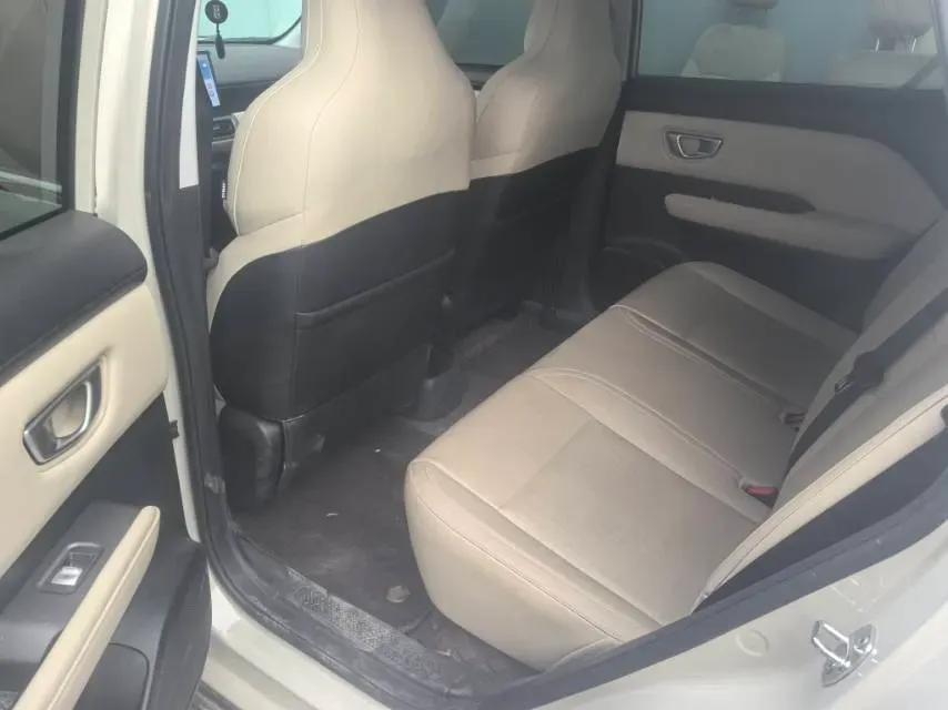 2024 WuLing BinGuoPLUS BEV 50.6KWH,autocango,china used car exporter,china ev exporter,chinese used car exporter,chinese used ev exporter