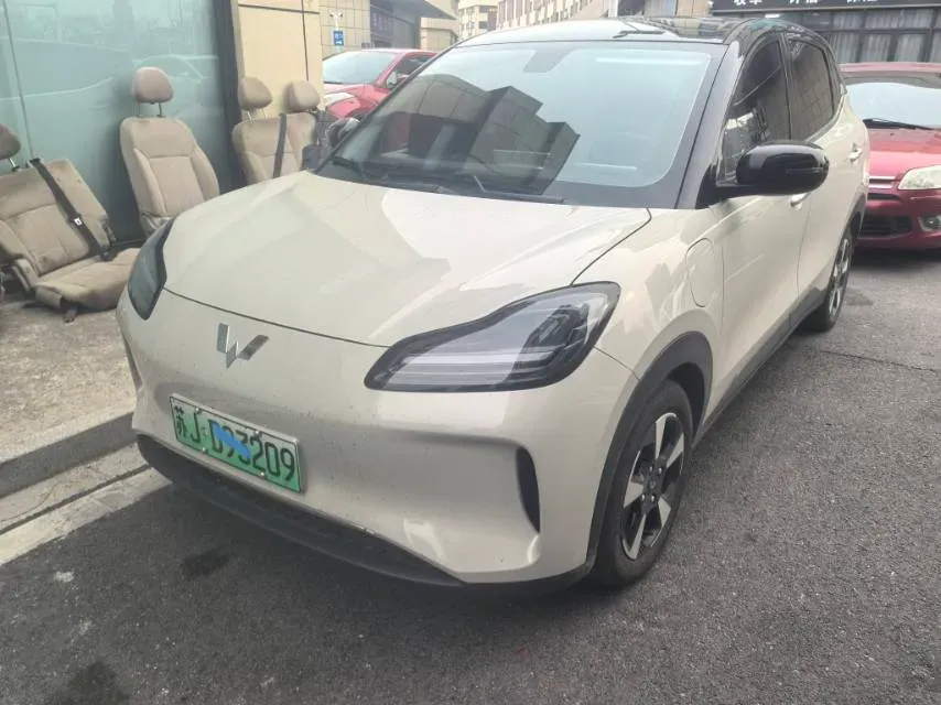 2024 WuLing BinGuoPLUS BEV 50.6KWH,autocango,china used car exporter,china ev exporter,chinese used car exporter,chinese used ev exporter