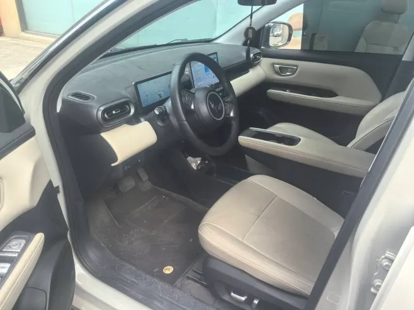 2024 WuLing BinGuoPLUS BEV 50.6KWH,autocango,china used car exporter,china ev exporter,chinese used car exporter,chinese used ev exporter