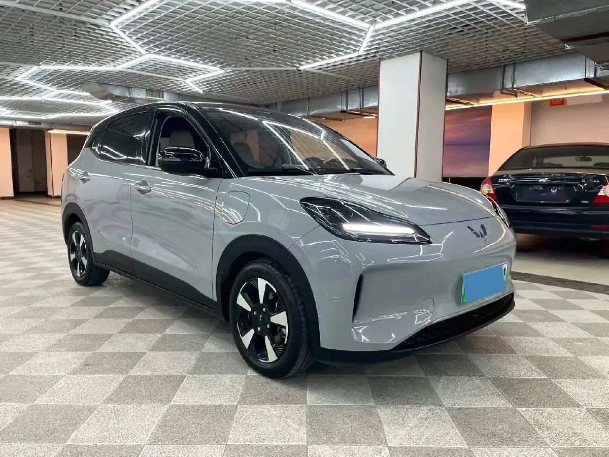 2024 WuLing BinGuoPLUS BEV 50.6KWH,autocango,china used car exporter,china ev exporter,chinese used car exporter,chinese used ev exporter