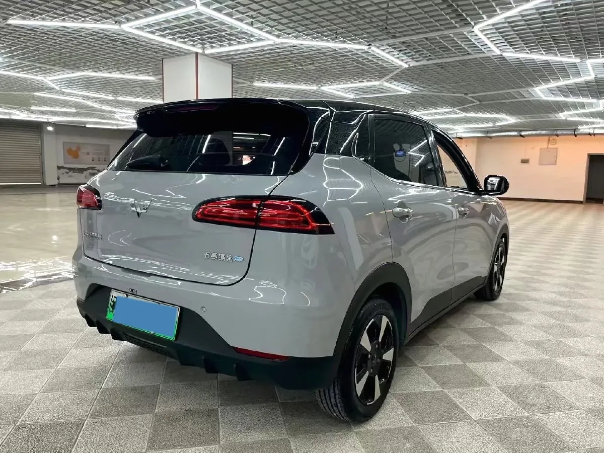 2024 WuLing BinGuoPLUS BEV 50.6KWH,autocango,china used car exporter,china ev exporter,chinese used car exporter,chinese used ev exporter