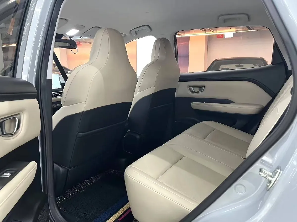 2024 WuLing BinGuoPLUS BEV 50.6KWH,autocango,china used car exporter,china ev exporter,chinese used car exporter,chinese used ev exporter