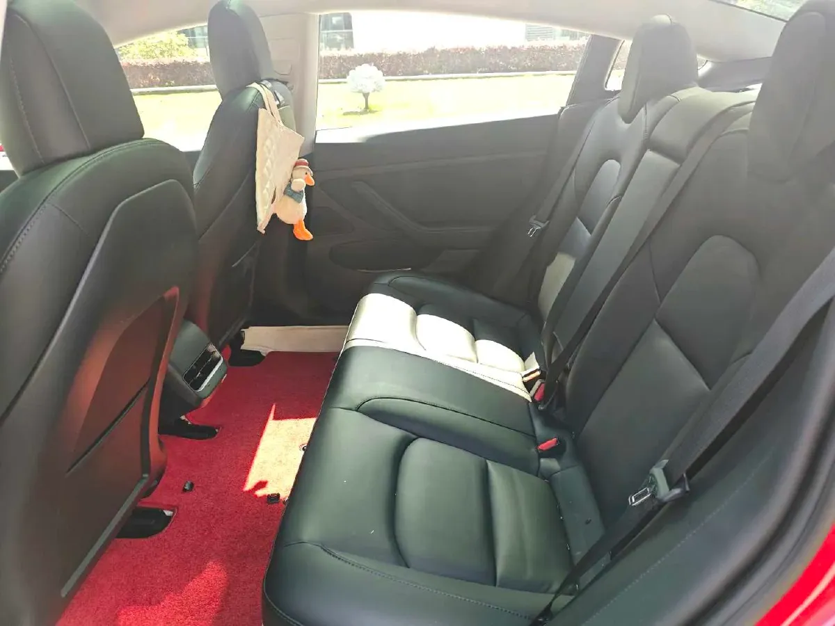 2020 Tesla Model 3 BEV 52KWH,autocango,china used car exporter,china ev exporter,chinese used car exporter,chinese used ev exporter