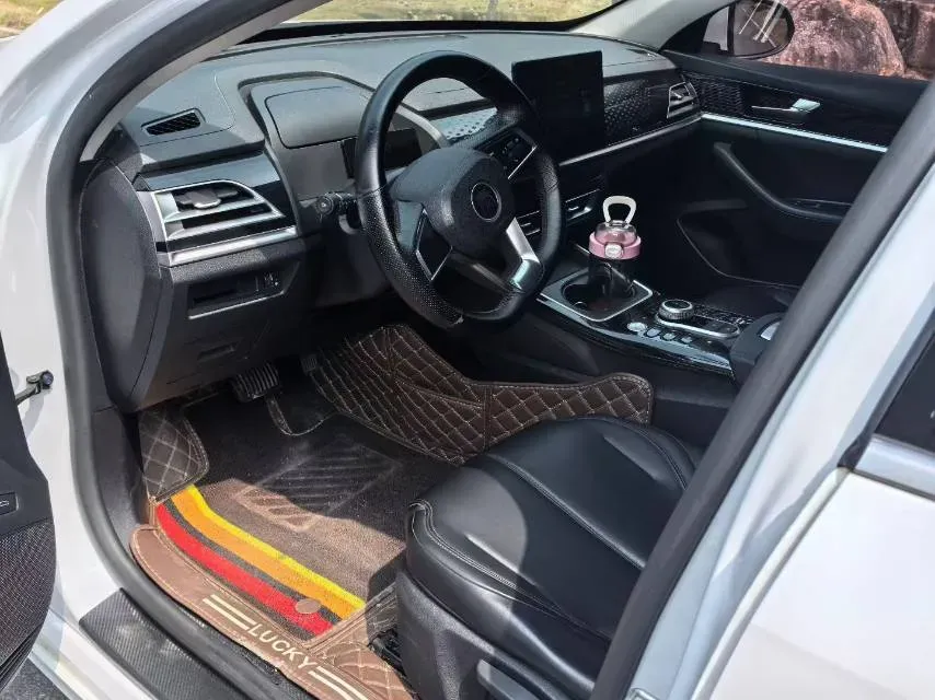 2021 BYD Qin Plus BEV 47.5KWH,autocango,china used car exporter,china ev exporter,chinese used car exporter,chinese used ev exporter