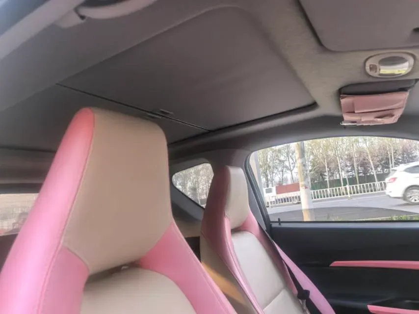 2021 Chery Little Ant BEV 30.6KWH,autocango,china used car exporter,china ev exporter,chinese used car exporter,chinese used ev exporter