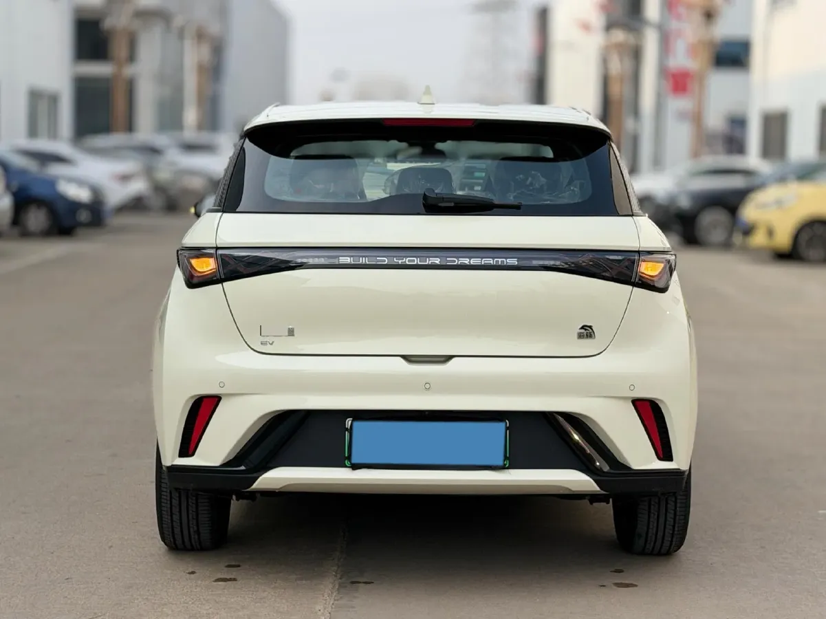 2023 BYD Dolphin BEV 44.928KWH,autocango,china used car exporter,china ev exporter,chinese used car exporter,chinese used ev exporter