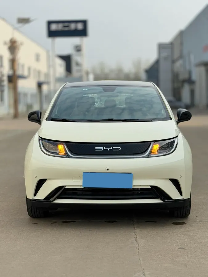 2023 BYD Dolphin BEV 44.928KWH,autocango,china used car exporter,china ev exporter,chinese used car exporter,chinese used ev exporter