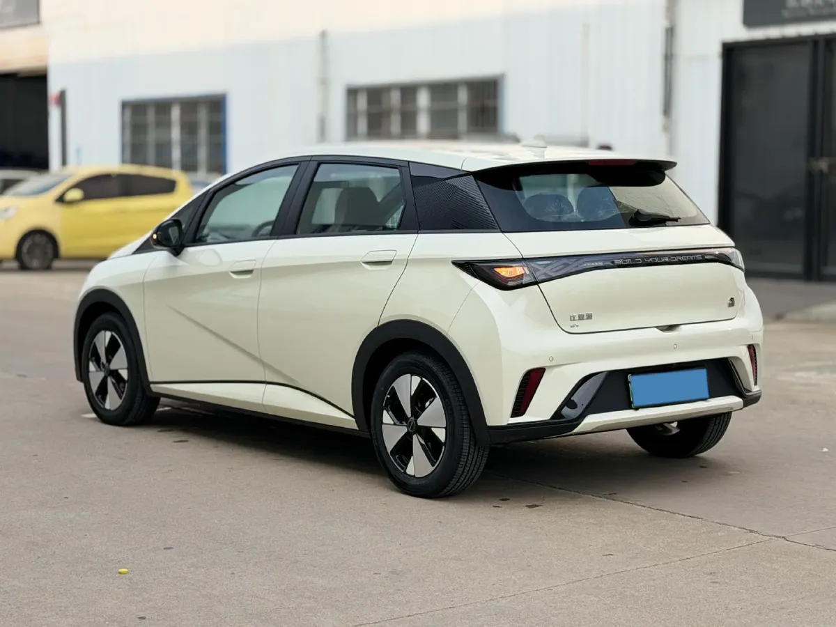 2023 BYD Dolphin BEV 44.928KWH,autocango,china used car exporter,china ev exporter,chinese used car exporter,chinese used ev exporter