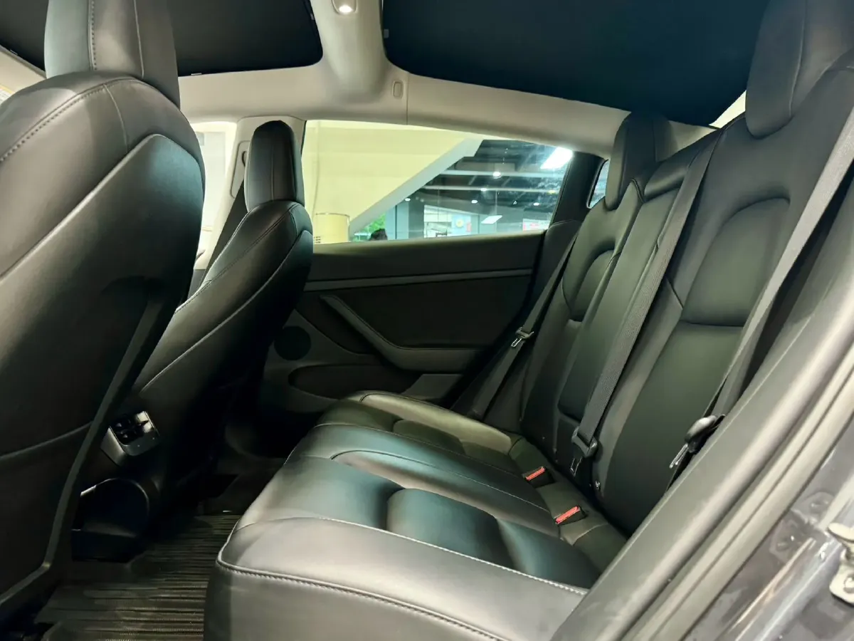 2021 Tesla Model 3 BEV 55KWH,autocango,china used car exporter,china ev exporter,chinese used car exporter,chinese used ev exporter