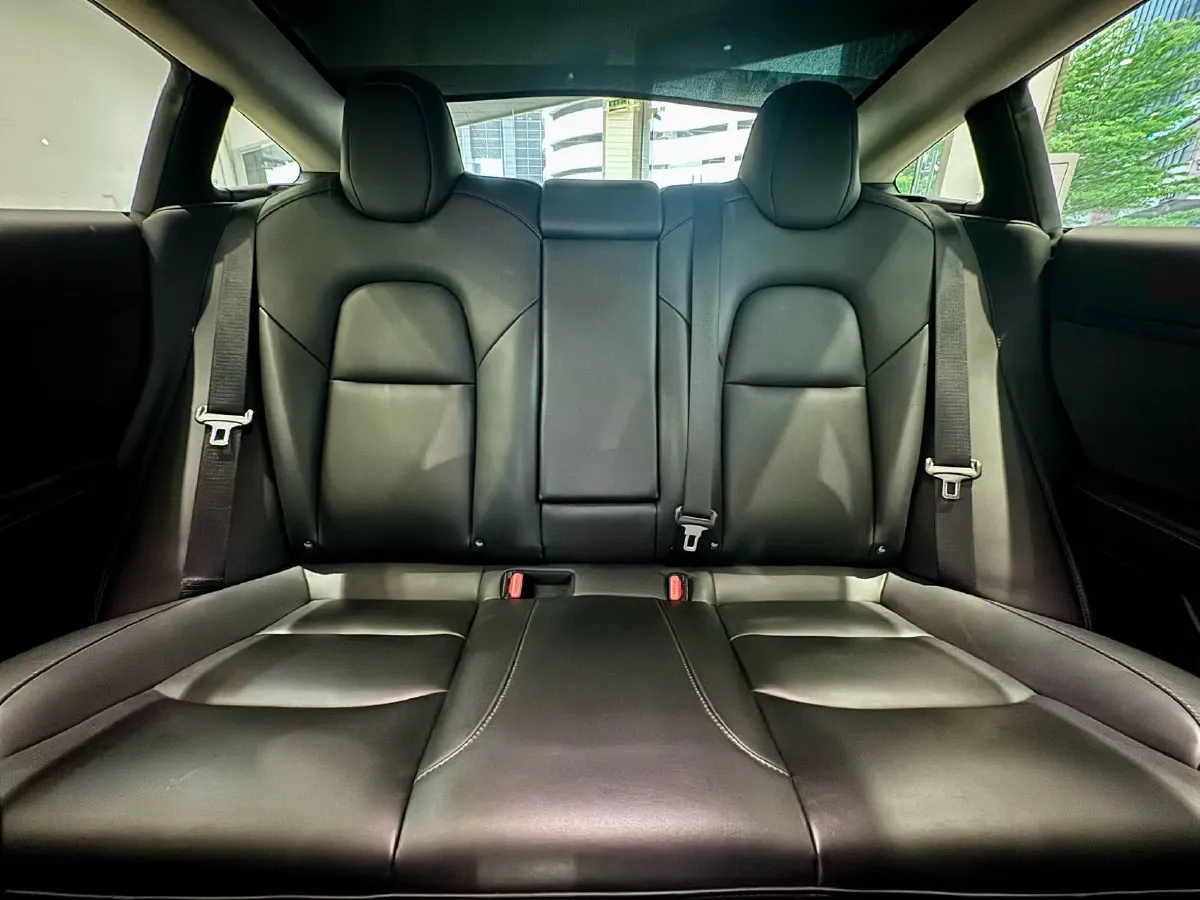 2021 Tesla Model 3 BEV 55KWH,autocango,china used car exporter,china ev exporter,chinese used car exporter,chinese used ev exporter