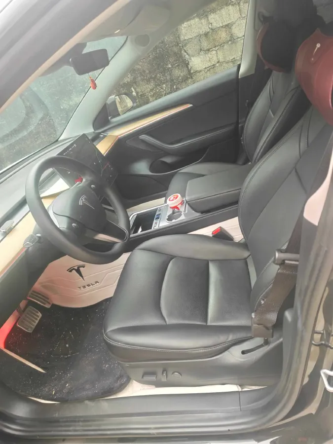 2021 Tesla Model 3 BEV 55KWH,autocango,china used car exporter,china ev exporter,chinese used car exporter,chinese used ev exporter