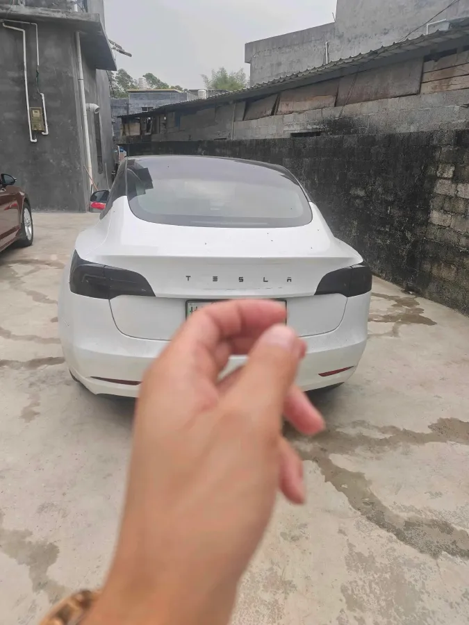 2021 Tesla Model 3 BEV 55KWH,autocango,china used car exporter,china ev exporter,chinese used car exporter,chinese used ev exporter