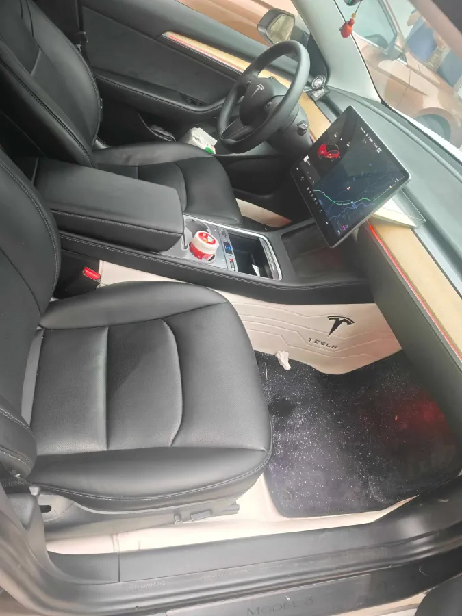 2021 Tesla Model 3 BEV 55KWH,autocango,china used car exporter,china ev exporter,chinese used car exporter,chinese used ev exporter