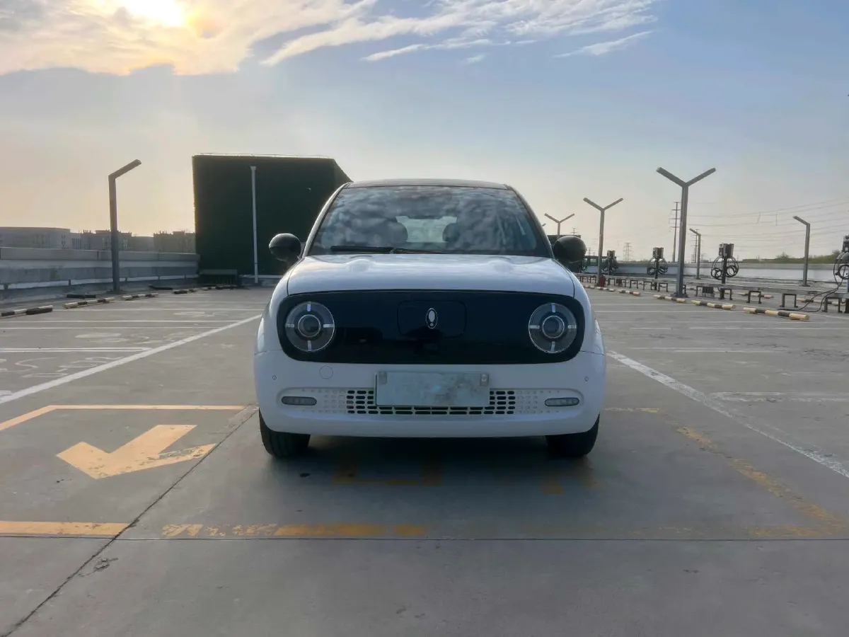 2022 DaYun YueHu BEV 31.7KWH,autocango,china used car exporter,china ev exporter,chinese used car exporter,chinese used ev exporter