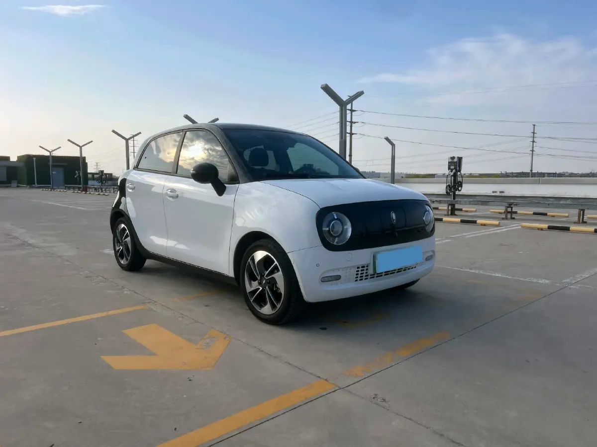 2022 DaYun YueHu BEV 31.7KWH,autocango,china used car exporter,china ev exporter,chinese used car exporter,chinese used ev exporter