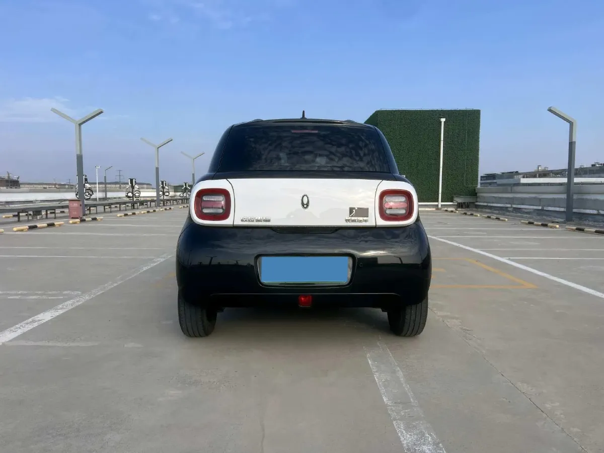 2022 DaYun YueHu BEV 31.7KWH,autocango,china used car exporter,china ev exporter,chinese used car exporter,chinese used ev exporter