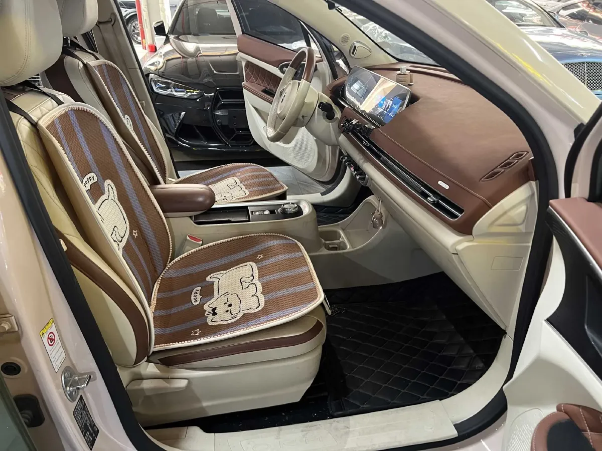 2021 Ora FunkyCat BEV 45.99KWH,autocango,china used car exporter,china ev exporter,chinese used car exporter,chinese used ev exporter