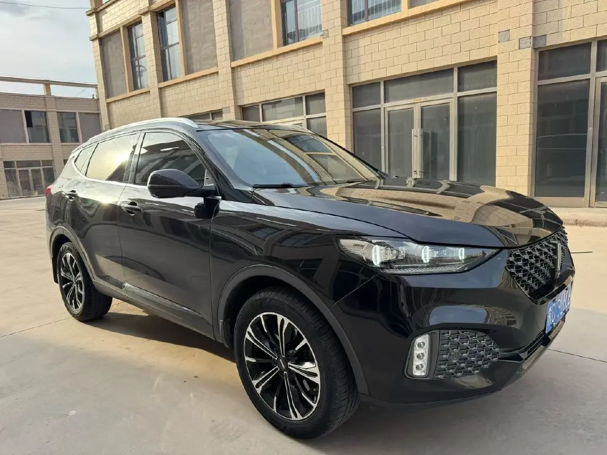 2020 WEY VV6 2.0T 227HP L4 7DCT,autocango,china used car exporter,china ev exporter,chinese used car exporter,chinese used ev exporter