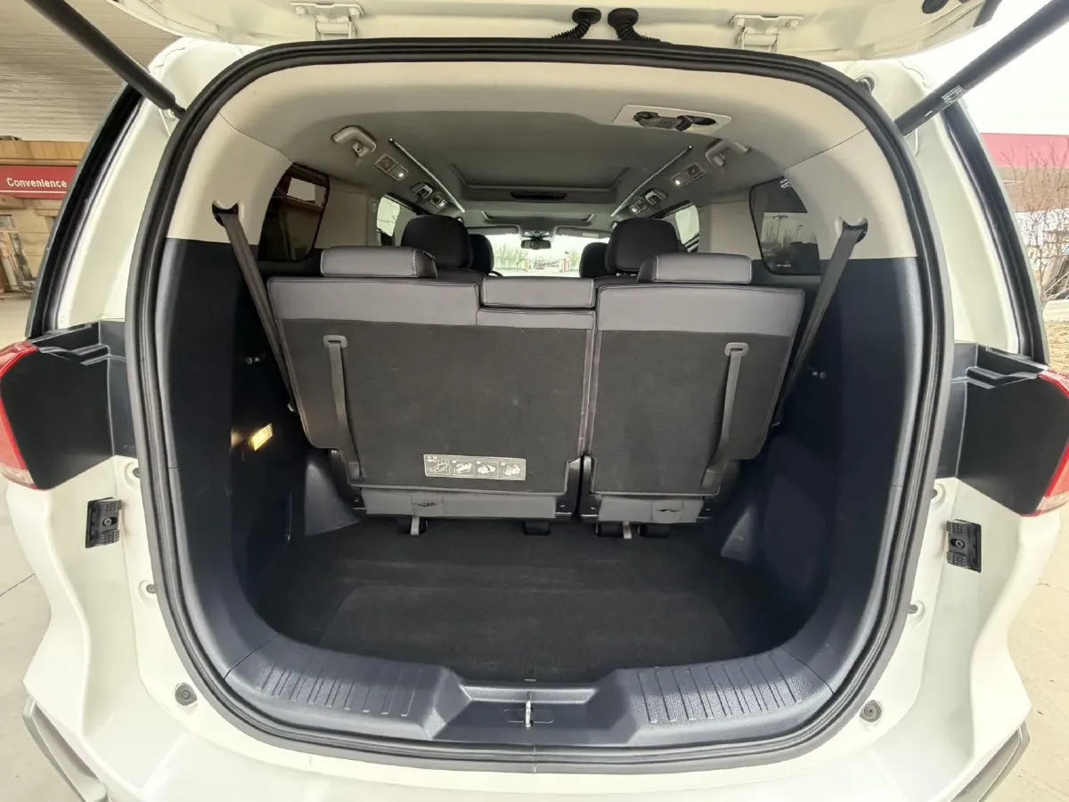 2021 GAC Trumpchi M8 2.0T 252HP L4 8AT,autocango,china used car exporter,china ev exporter,chinese used car exporter,chinese used ev exporter