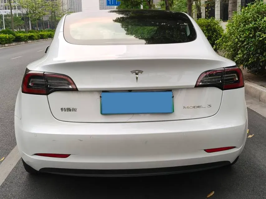 2021 Tesla Model 3 BEV 55KWH,autocango,china used car exporter,china ev exporter,chinese used car exporter,chinese used ev exporter