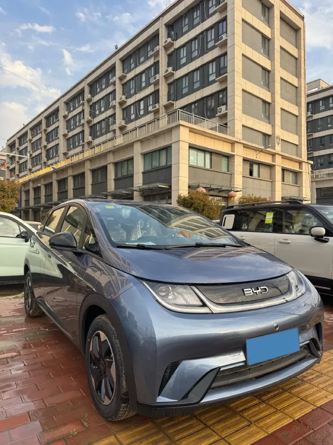 2025 BYD Dolphin BEV 44.928KWH,autocango,china used car exporter,china ev exporter,chinese used car exporter,chinese used ev exporter