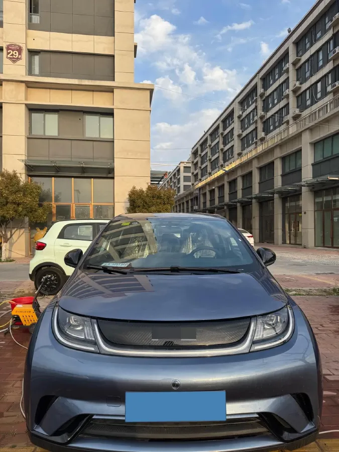 2025 BYD Dolphin BEV 44.928KWH,autocango,china used car exporter,china ev exporter,chinese used car exporter,chinese used ev exporter