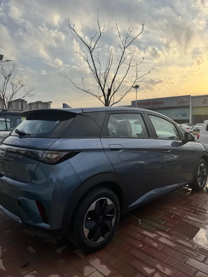 2025 BYD Dolphin BEV 44.928KWH,autocango,china used car exporter,china ev exporter,chinese used car exporter,chinese used ev exporter