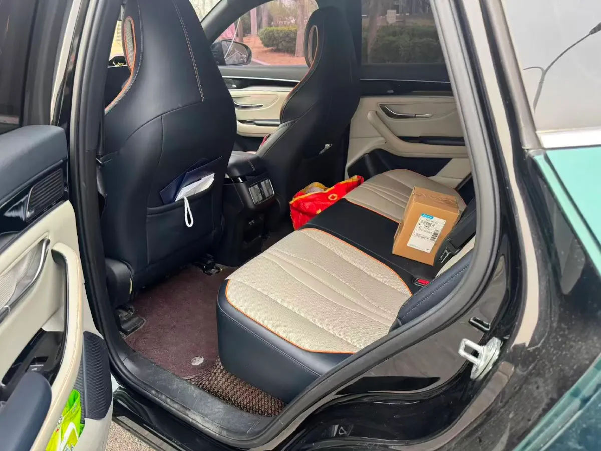 2021 SRM Sea Lion EV BEV 41.86KWH,autocango,china used car exporter,china ev exporter,chinese used car exporter,chinese used ev exporter