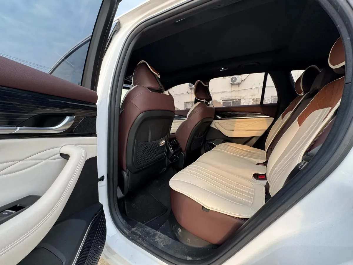 2024 Geely Monjaro 2.0T 238HP L4 8AT,autocango,china used car exporter,china ev exporter,chinese used car exporter,chinese used ev exporter