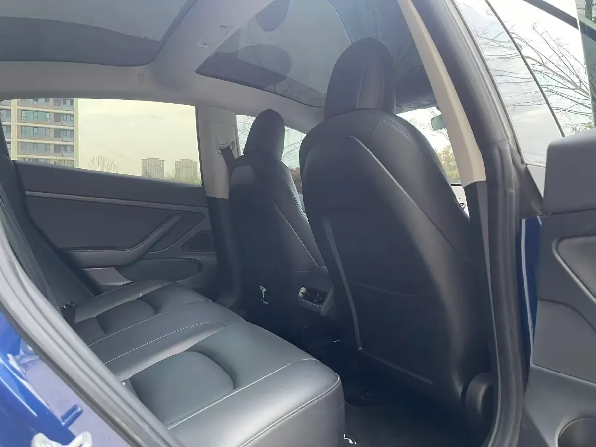 2020 Tesla Model 3 BEV 52KWH,autocango,china used car exporter,china ev exporter,chinese used car exporter,chinese used ev exporter