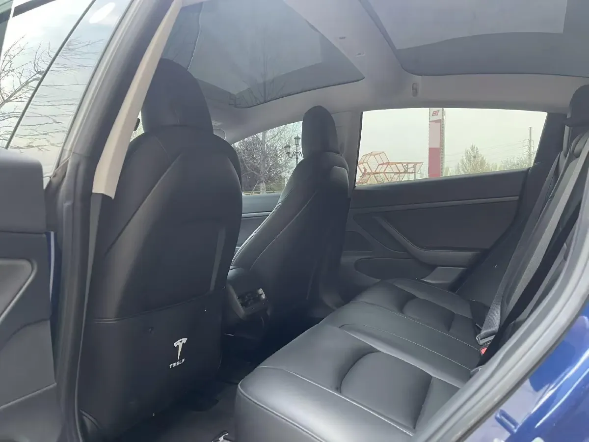 2020 Tesla Model 3 BEV 52KWH,autocango,china used car exporter,china ev exporter,chinese used car exporter,chinese used ev exporter