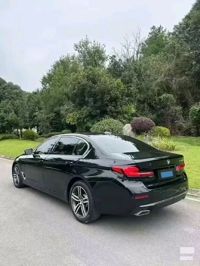 2023 BMW 5 Series 2.0T 245HP L4 8AT,autocango,china used car exporter,china ev exporter,chinese used car exporter,chinese used ev exporter