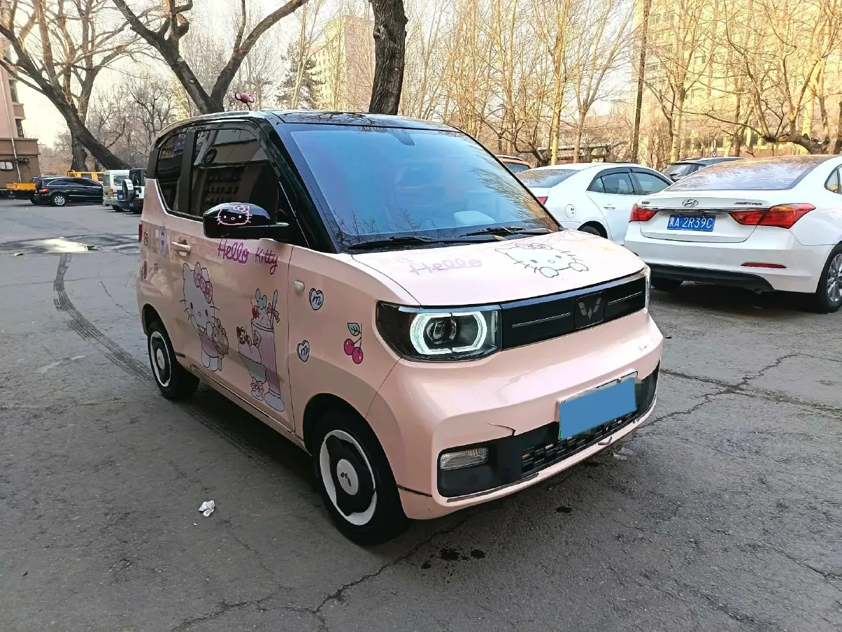 2022 DongFeng Fengon Fengon MINI EV BEV 13.8KWH,autocango,china used car exporter,china ev exporter,chinese used car exporter,chinese used ev exporter
