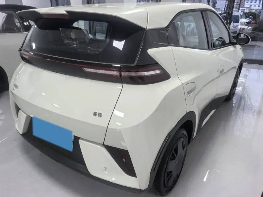 2025 BYD Seagull BEV 30.08KWH,autocango,china used car exporter,china ev exporter,chinese used car exporter,chinese used ev exporter