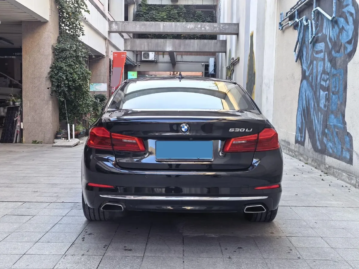 2020 BMW 5 Series 2.0T 252HP L4 8AT,autocango,china used car exporter,china ev exporter,chinese used car exporter,chinese used ev exporter