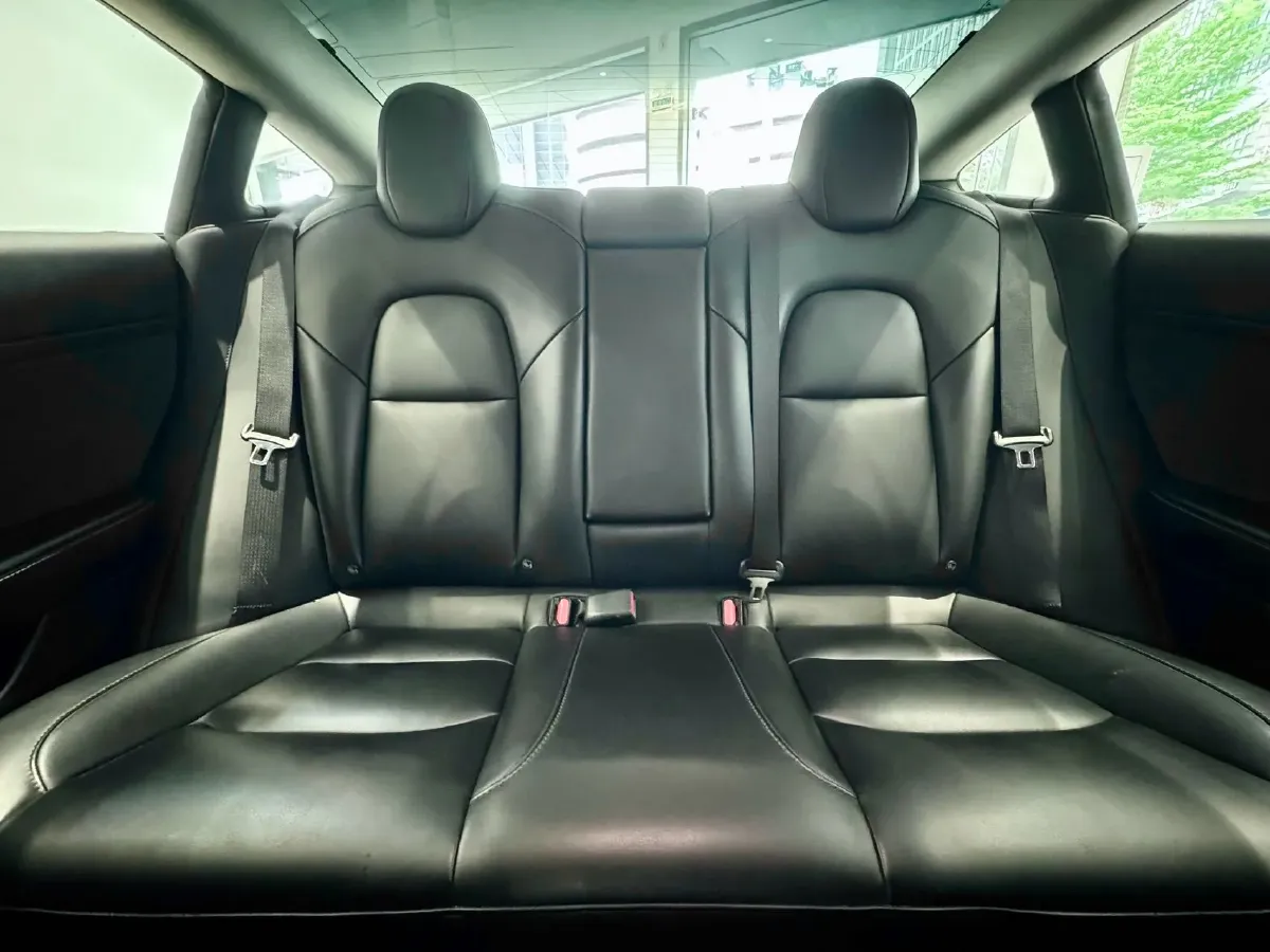 2020 Tesla Model 3 BEV 52KWH,autocango,china used car exporter,china ev exporter,chinese used car exporter,chinese used ev exporter