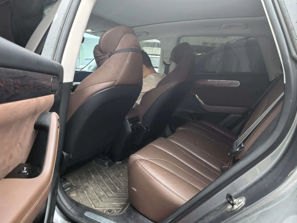 2021 Leapmotor C11 BEV 78.54KWH,autocango,china used car exporter,china ev exporter,chinese used car exporter,chinese used ev exporter