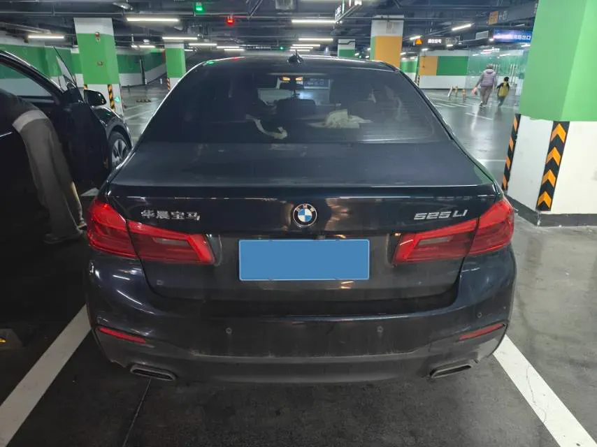 2020 BMW 5 Series 2.0T 184HP L4 8AT,autocango,china used car exporter,china ev exporter,chinese used car exporter,chinese used ev exporter