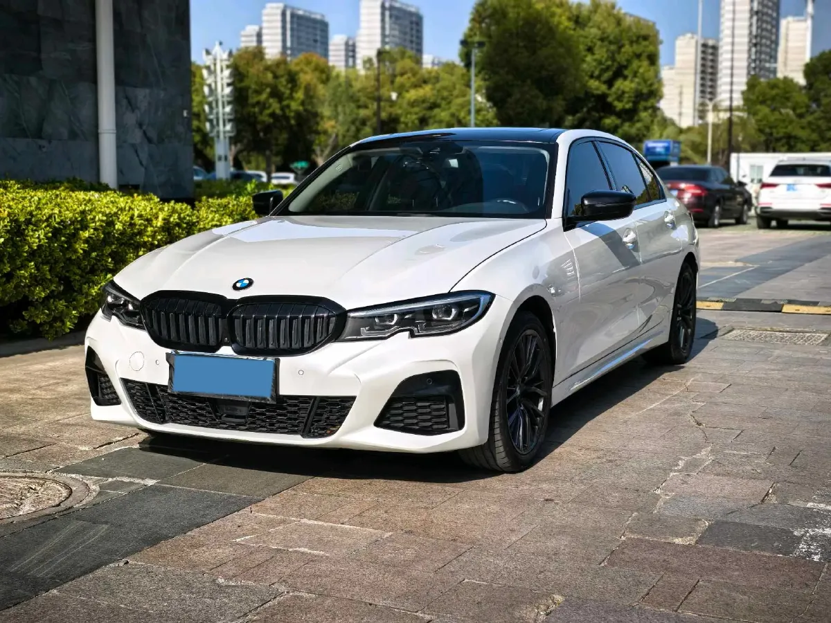 2021 BMW 3 Series 2.0T 184HP L4 8AT,autocango,china used car exporter,china ev exporter,chinese used car exporter,chinese used ev exporter