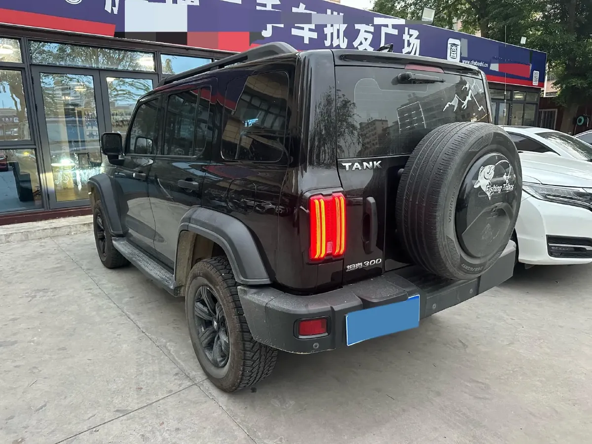 2021 Tank 300 2.0T 227HP L4 8AT,autocango,china used car exporter,china ev exporter,chinese used car exporter,chinese used ev exporter